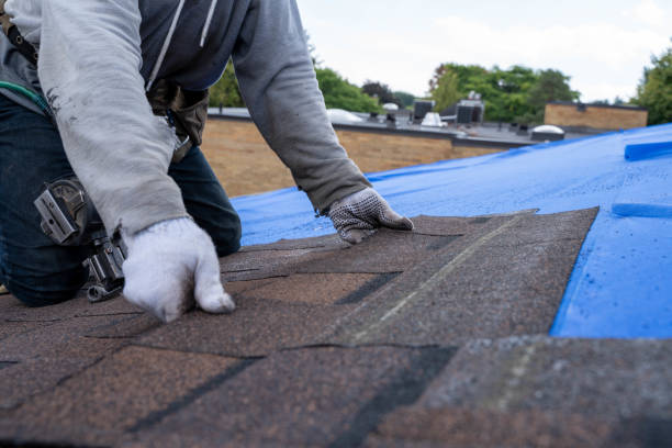 Best Storm Damage Roof Repair  in Wilson Conococheague, MD